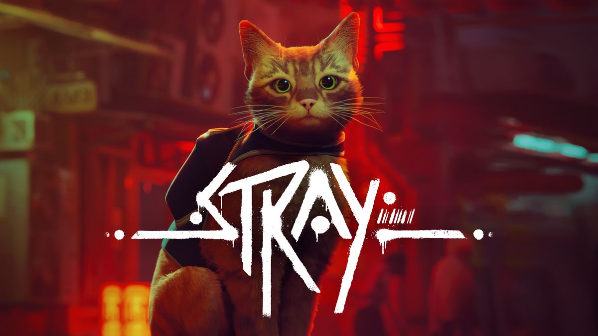 Stray Game Review1