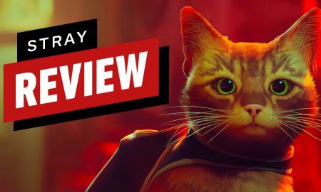 Stray Game Review2