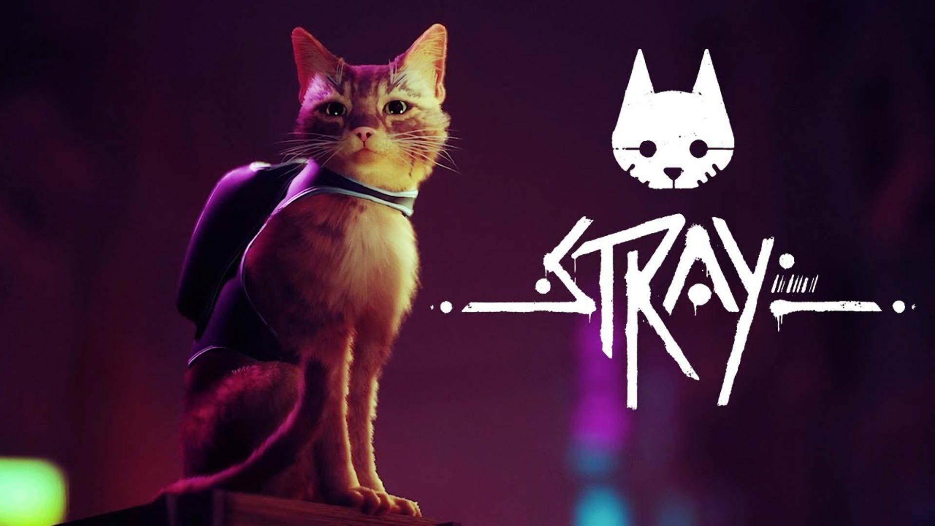 Stray Game Review4