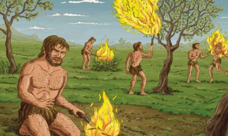 How Tools and Fire Transformed the Paleolithic Age