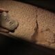 Invention of Writing Cuneiform's Origins Cuneiform and Impact