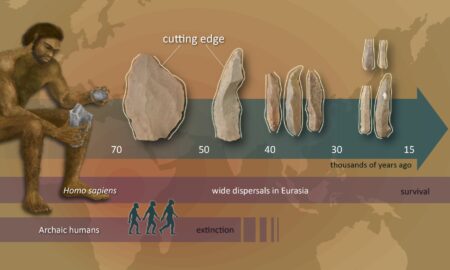 Mesolithic Toolmaking Advances Innovations in the Middle Stone Age
