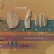 Mesolithic Toolmaking Advances Innovations in the Middle Stone Age