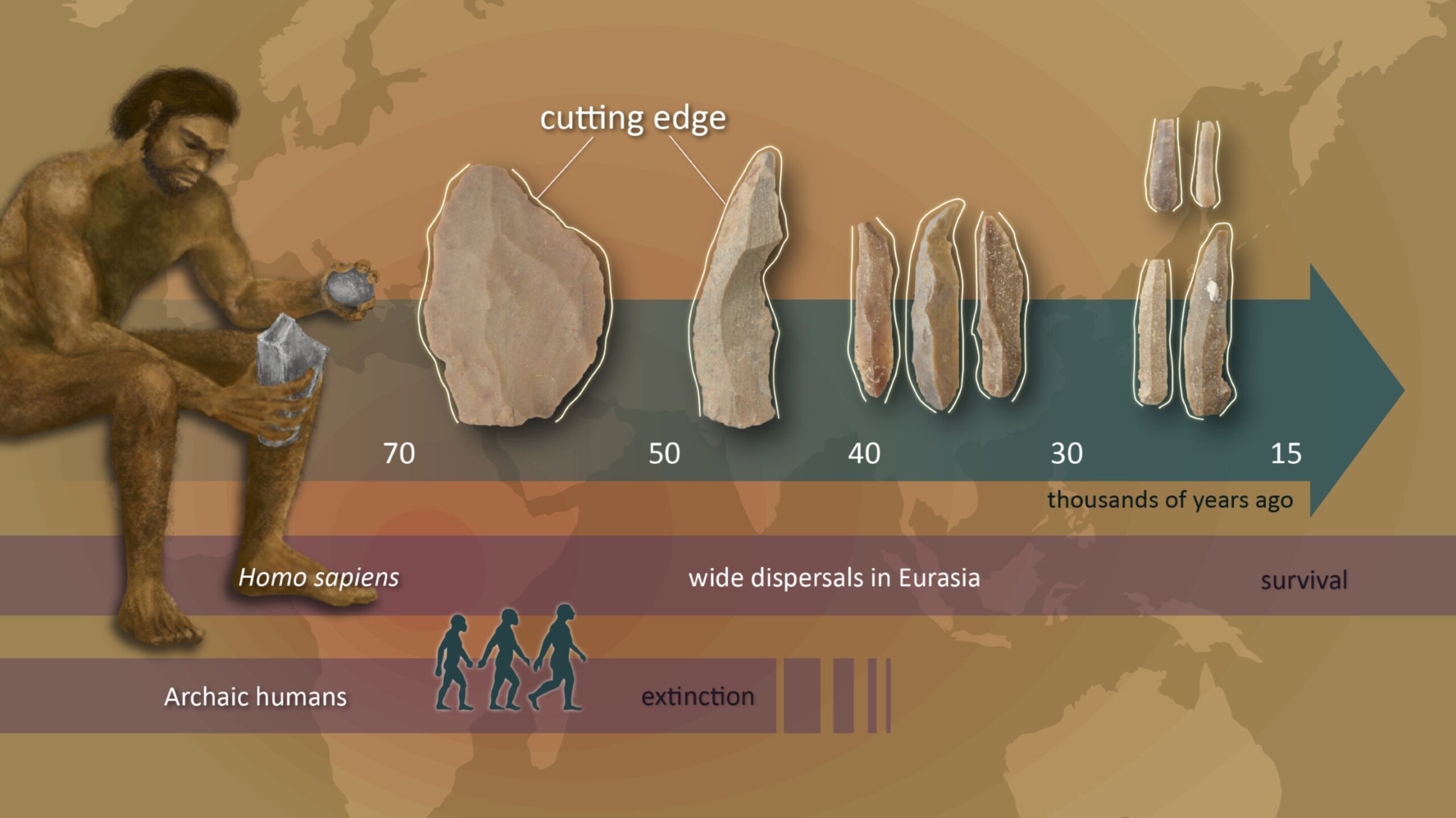 Mesolithic Toolmaking Advances Innovations in the Middle Stone Age